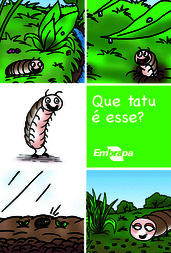 Thumbnail de Que tatu é esse?