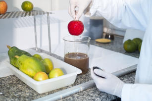 Imagem de Nanoemulsão de cera de carnaúba para aplicação em frutos