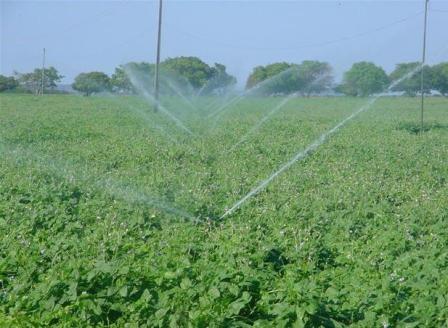 Sistema de irrigação por aspersão