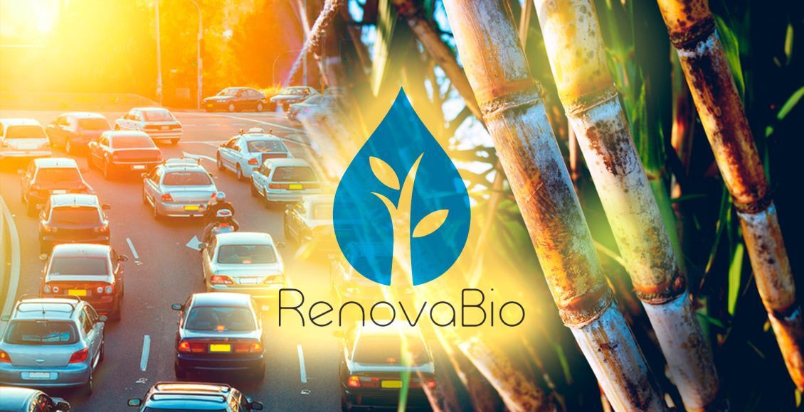 RenovaBio
