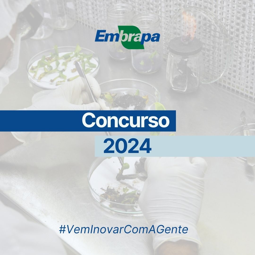 Embrapa anuncia resultados do concurso para cargos de analista, técnico e assistente